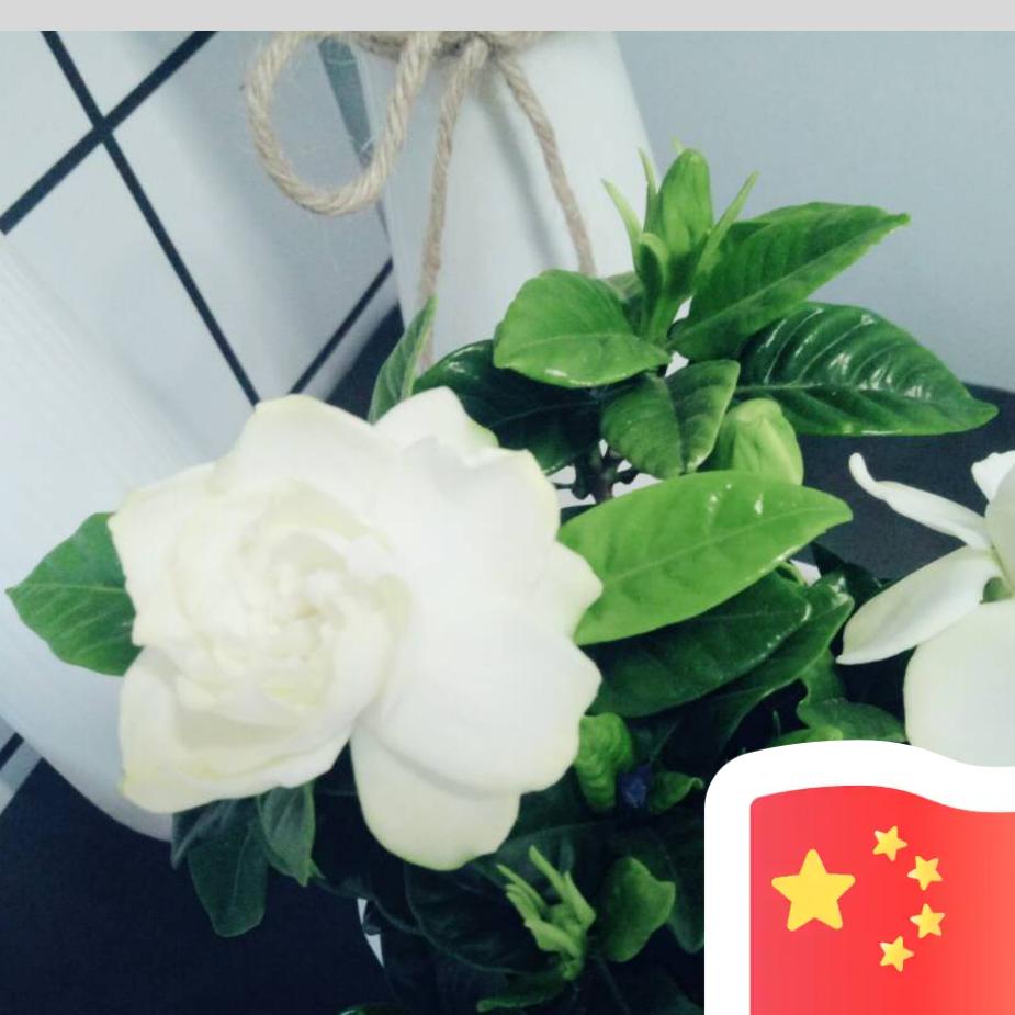 开心就好❤️