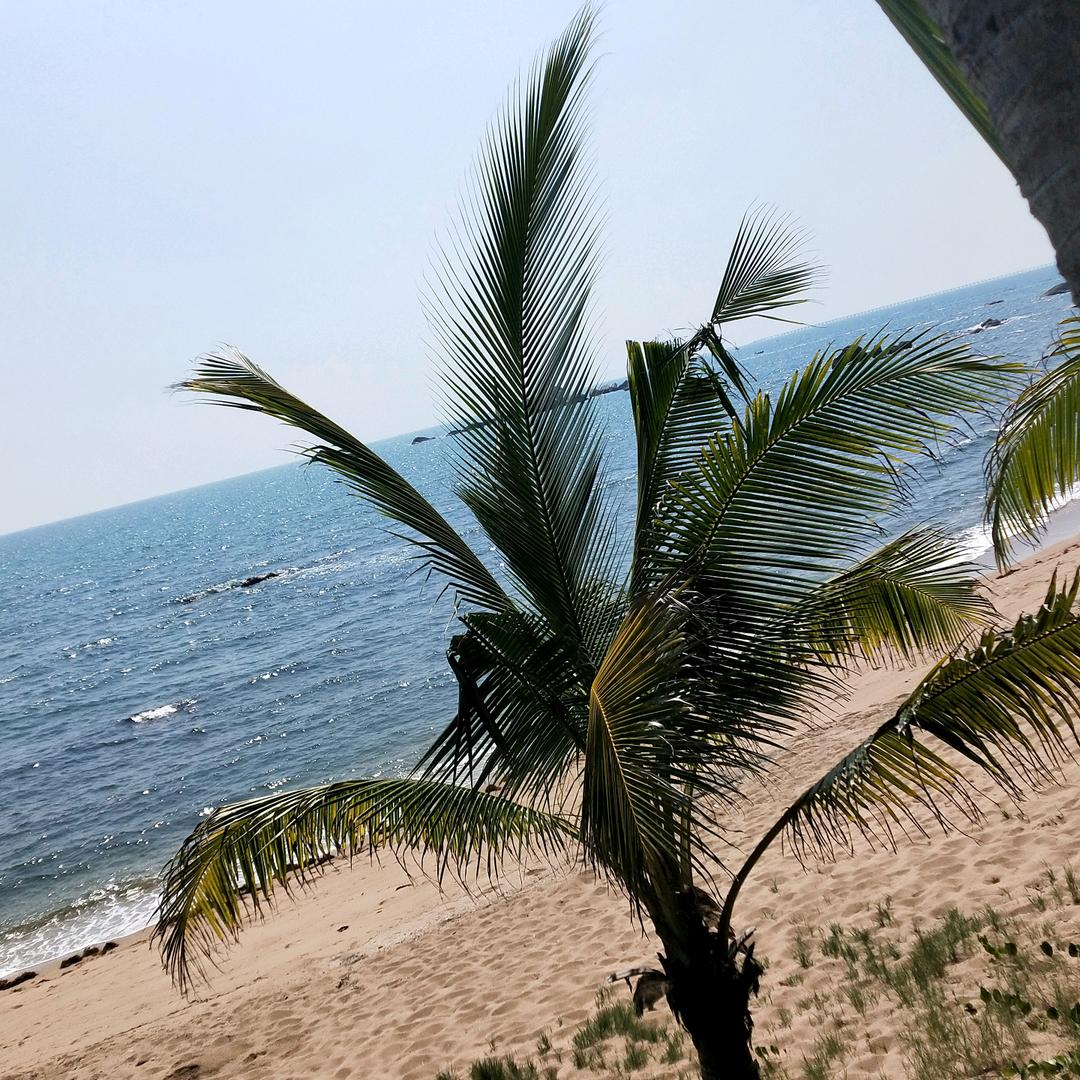 浅唱、属于我们的歌