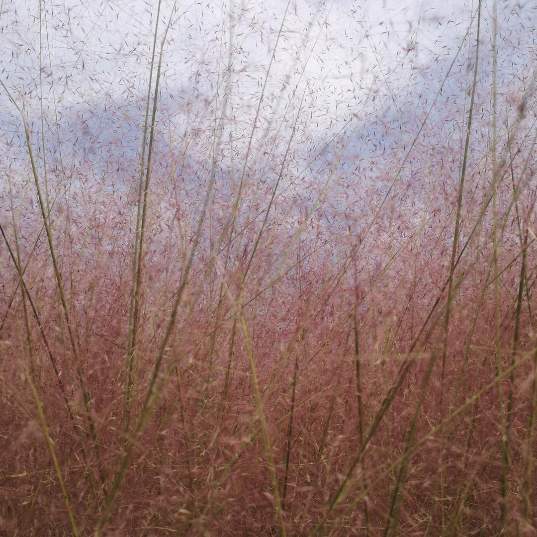 宝宝妈