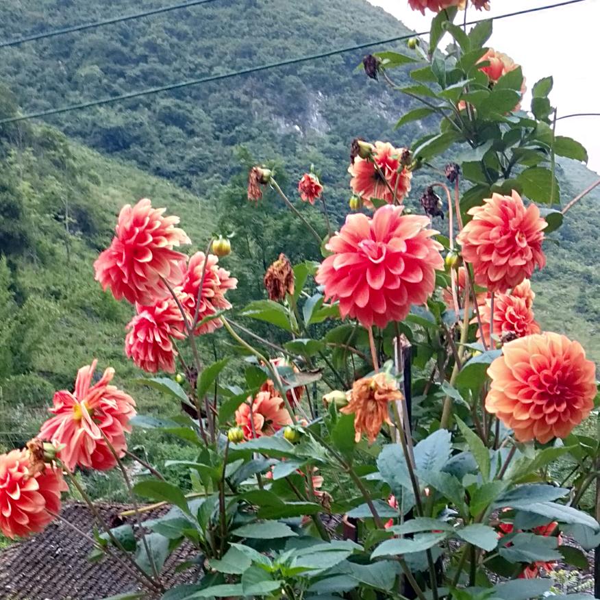 时时开心