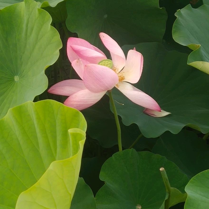 浪迹天涯