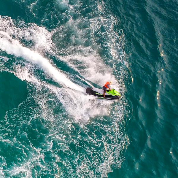 奔跑在路上的小熊