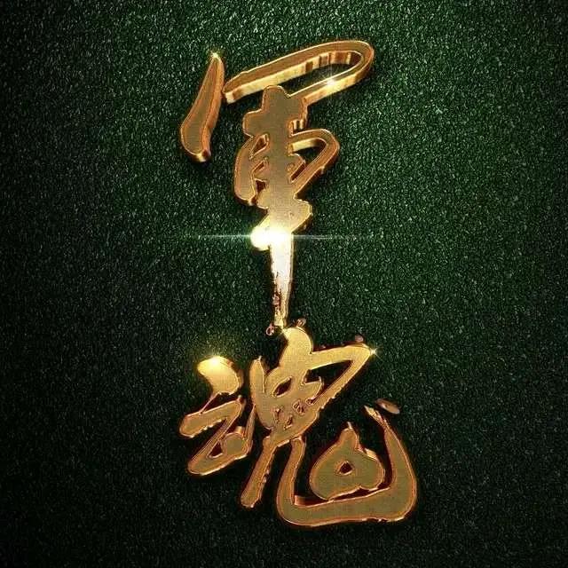 逆风逐梦
