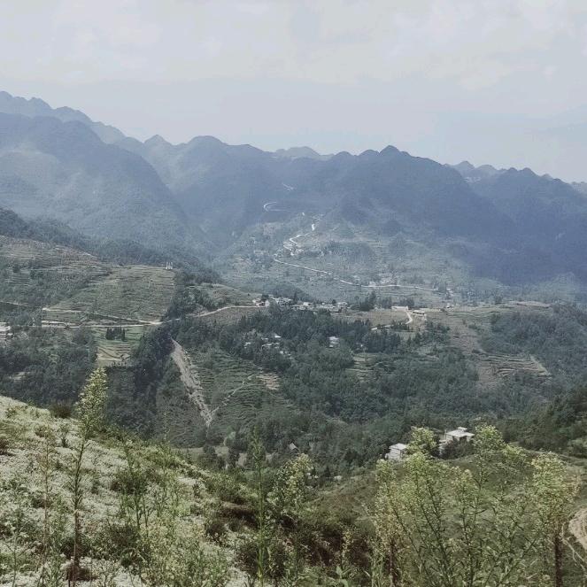 爱无悔，别认真