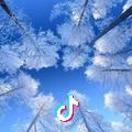 名扬海外