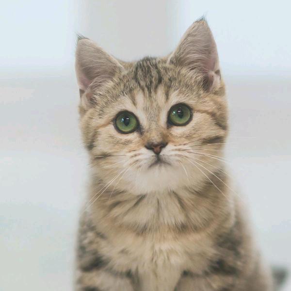 往后余生各自安好