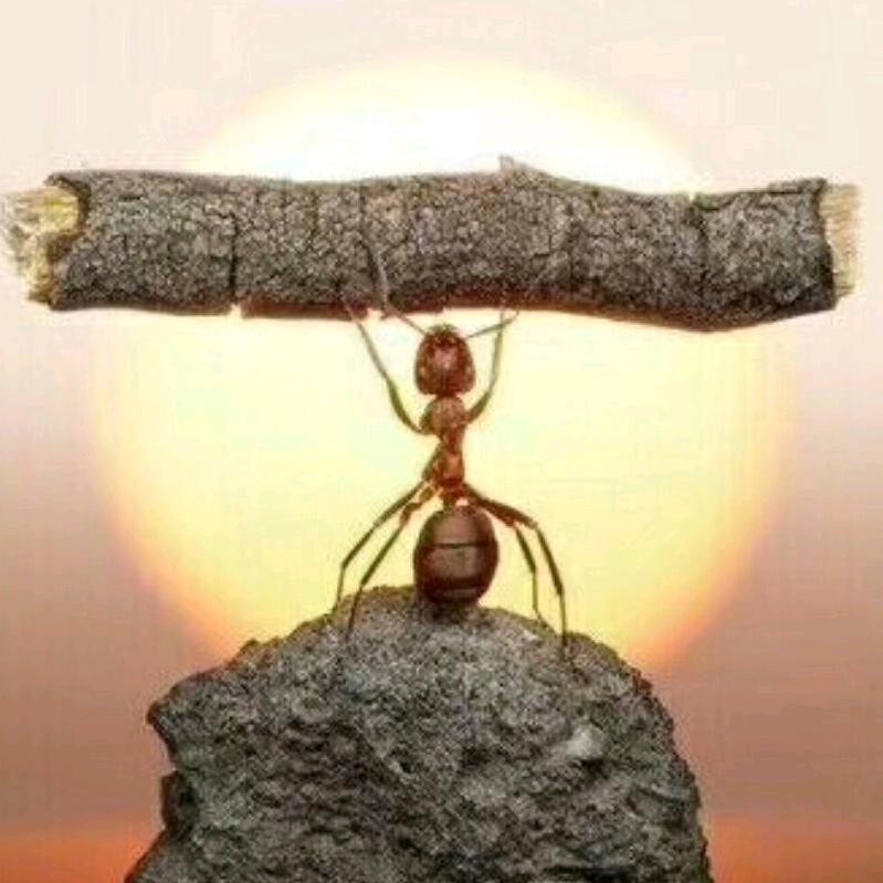 路漫漫其修远兮。