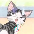 磨·阿库纳玛塔塔·人