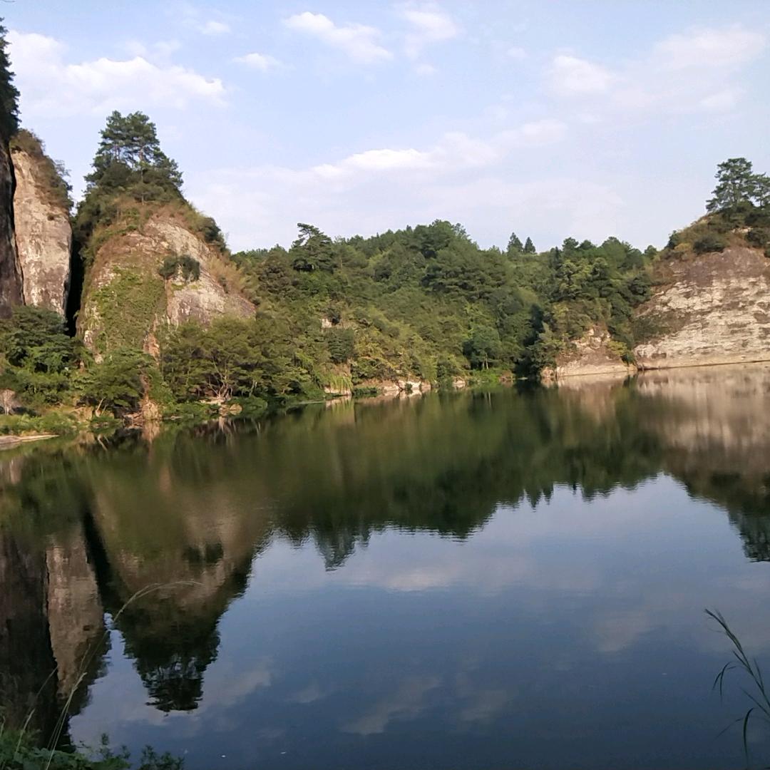 开心果.