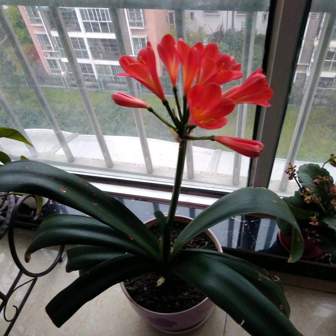 秀外慧中