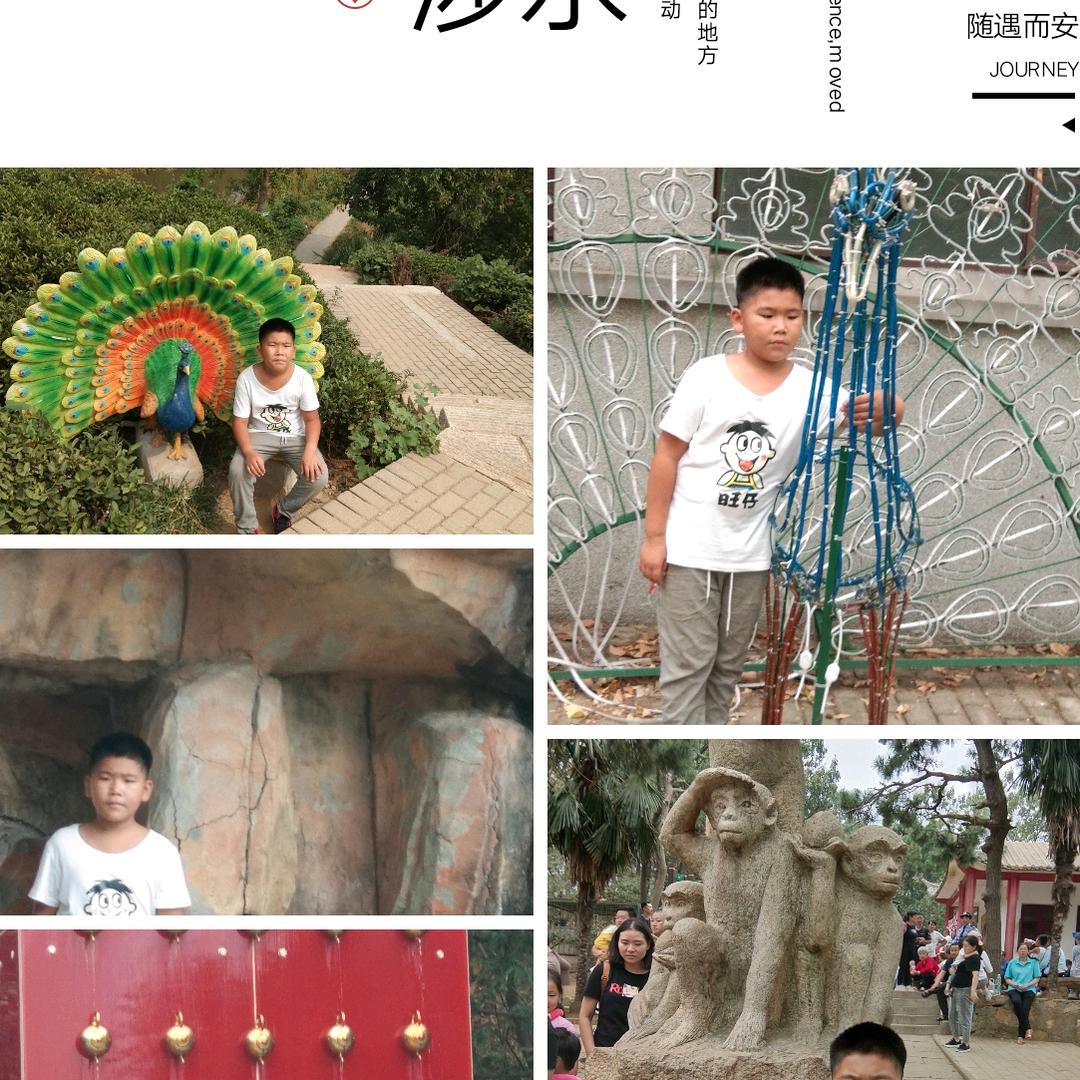 常年收购花生，小麦