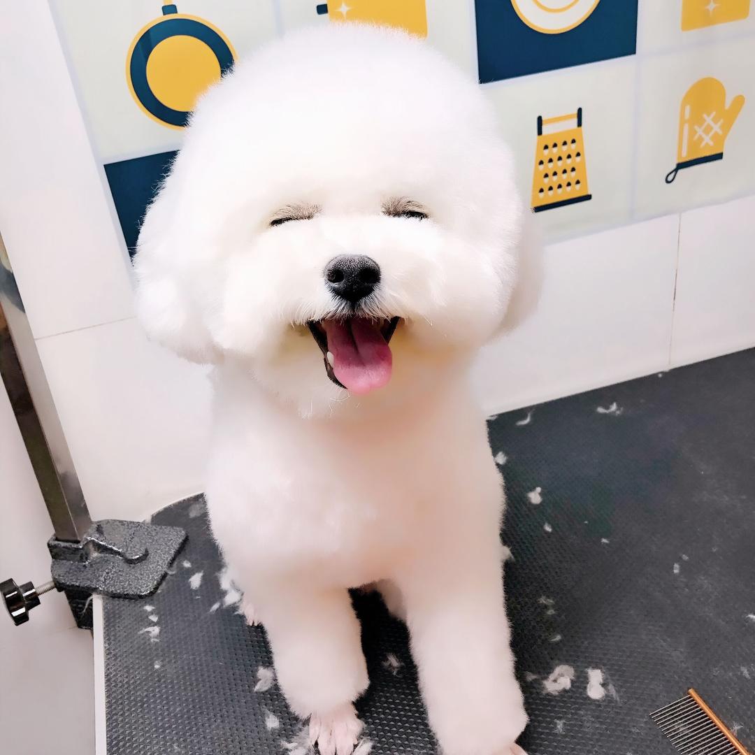 大米虫