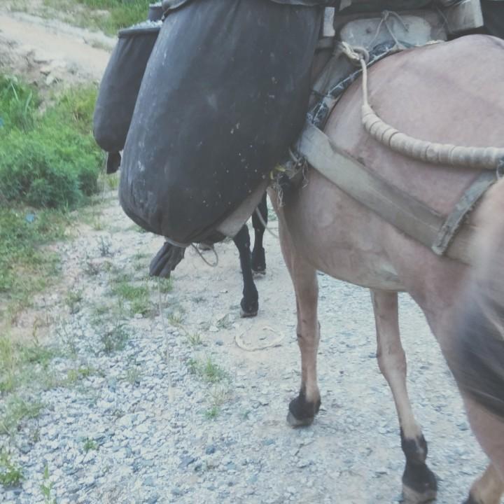 走遍天崖
