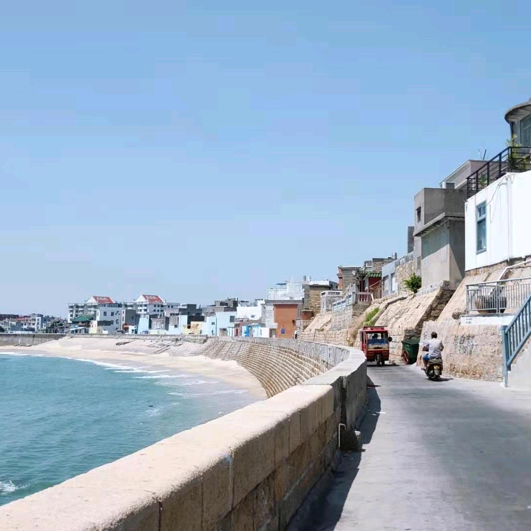 莲子姐姐