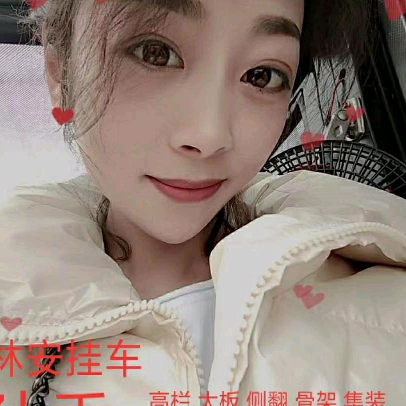 沛县林安挂车箱车集装箱侧帘厂家直销