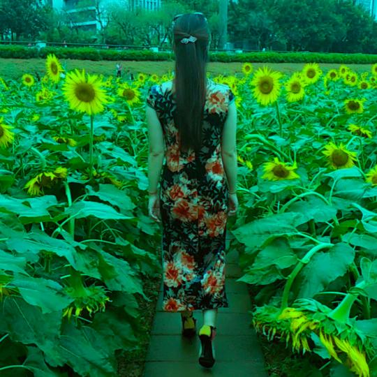 你的世界我来过