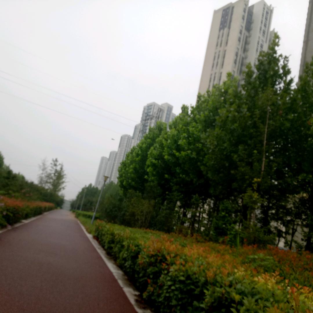 封心