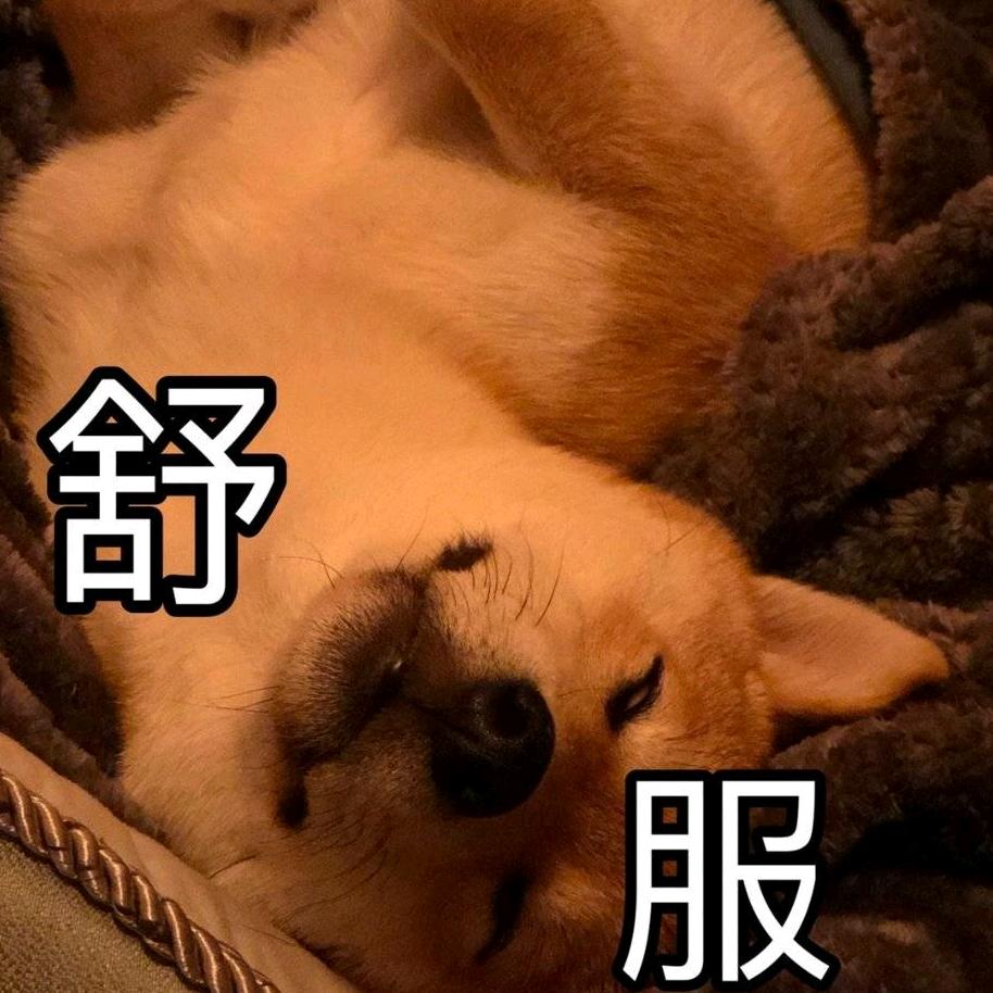 Normi糯米
