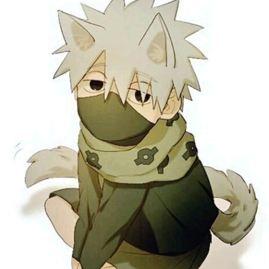 🐟🐟🐟🐟🐟🐟🐟🐟🐟🐟