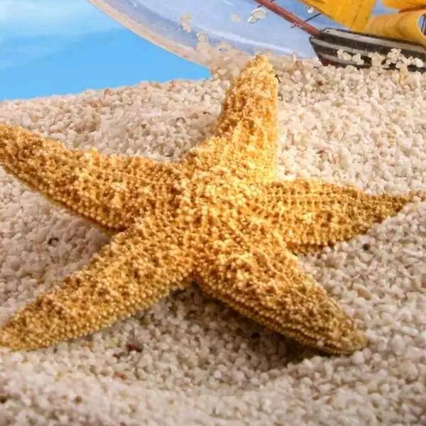 ＇开心每一天＇