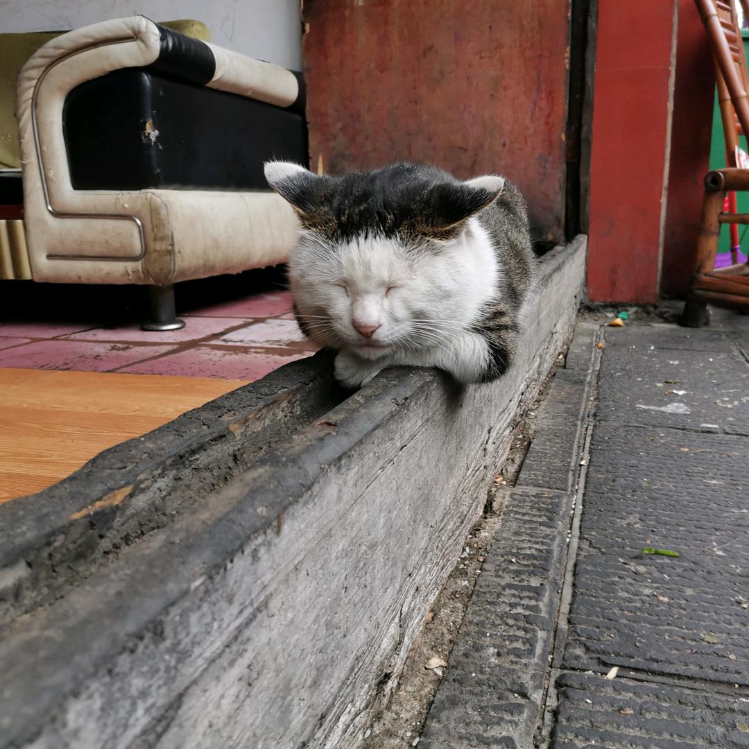 红灯停绿灯亮