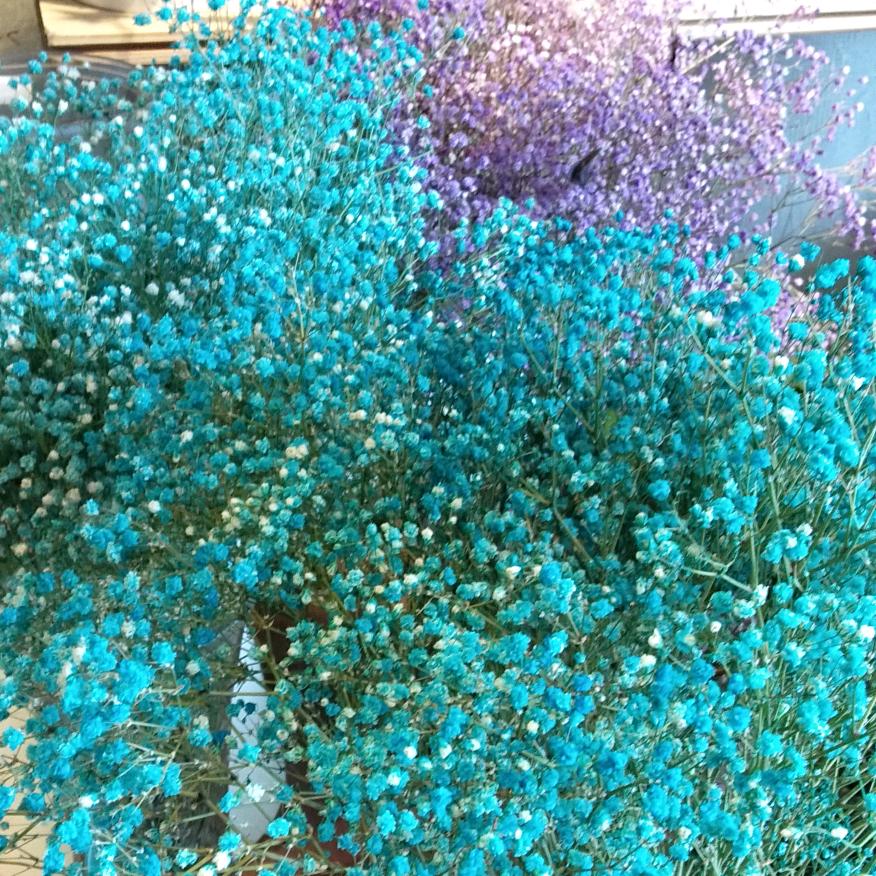 时光倒流