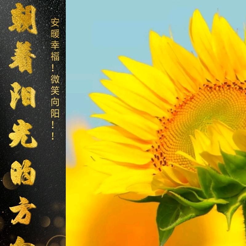 白金汉宫红妃美容店（万古镇店）