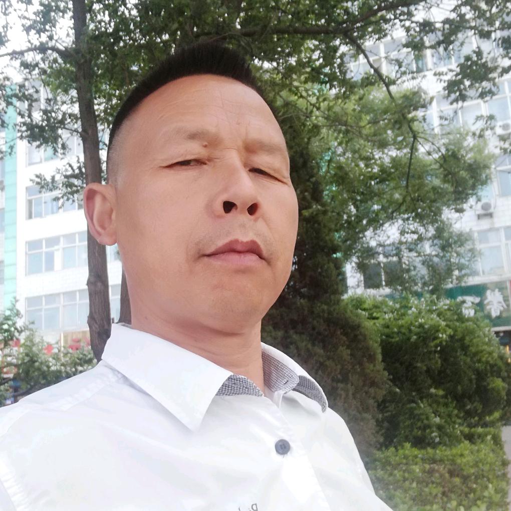 自由飞翔