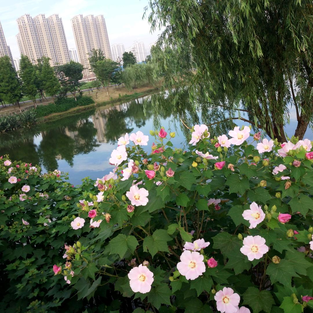 一切皆有可能92978