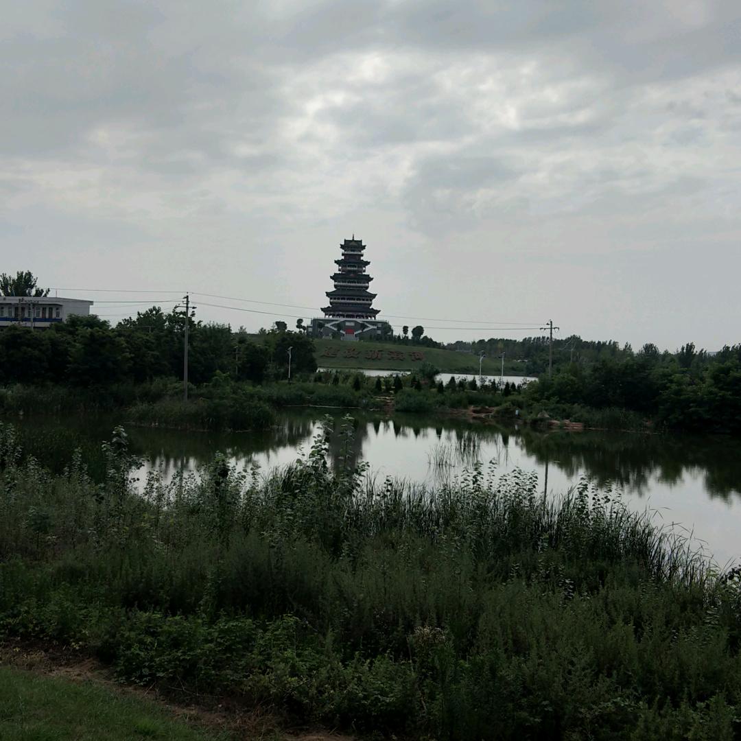 向曰葵