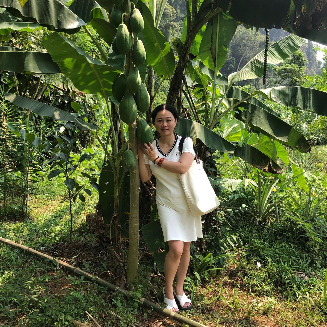 江北燕子
