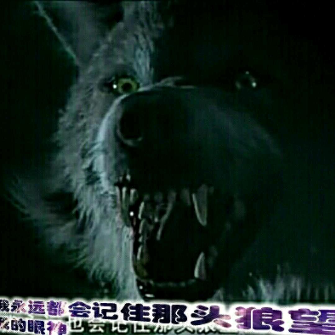 冷血メ野狼