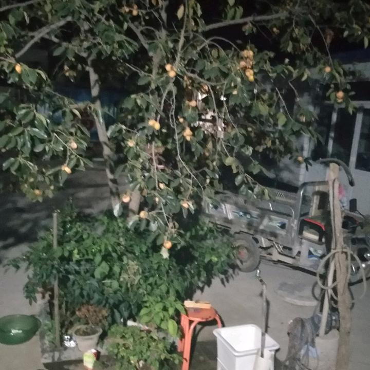 让他随风而去