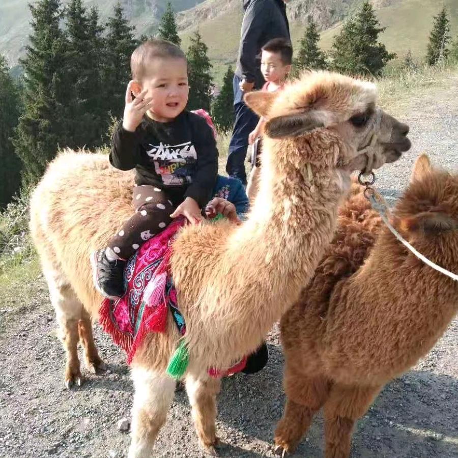 tursn bu bu🇨🇳