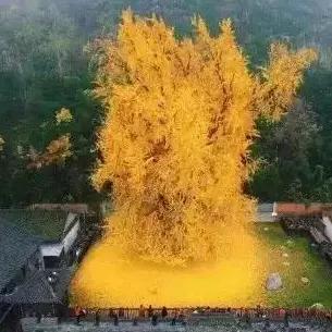 上善若水（于）