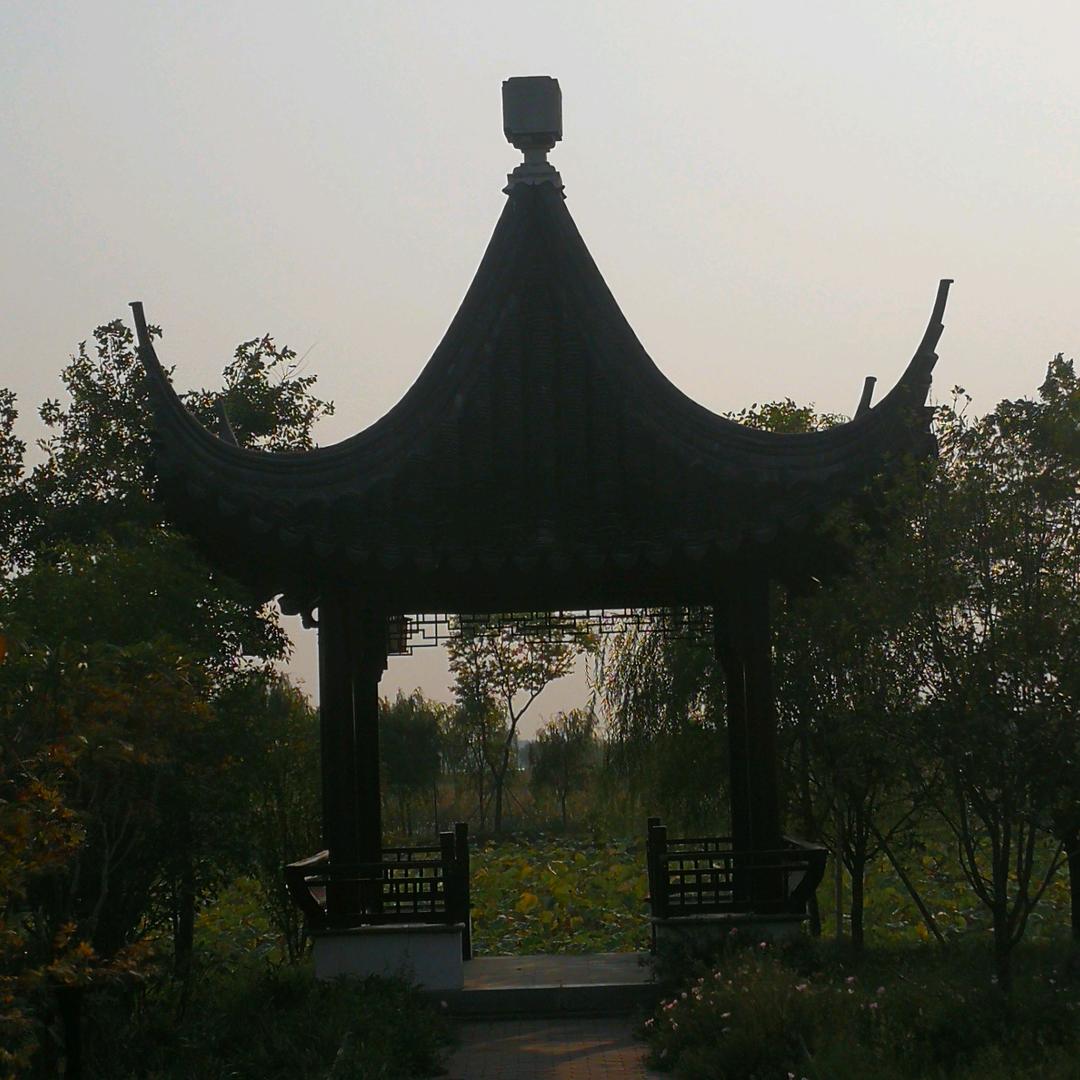 申花防腐木景观工程