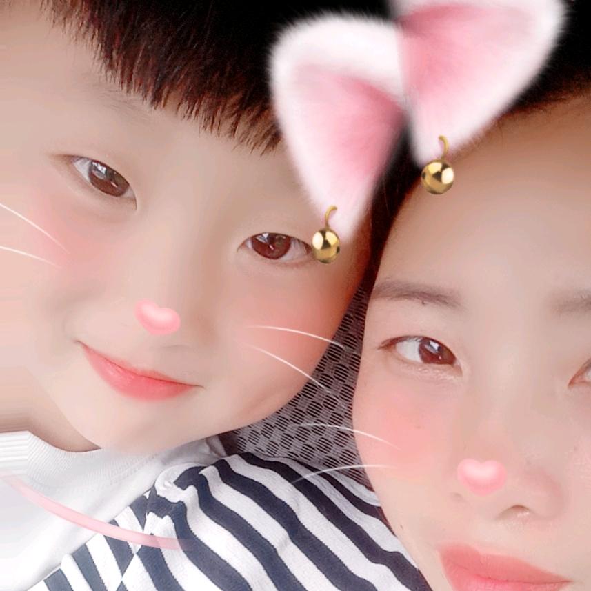 @皖亳彩刚烘干托盘生产销售