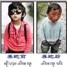 宏发养殖