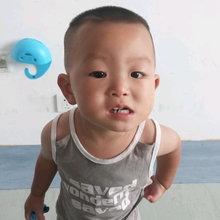 淡泊