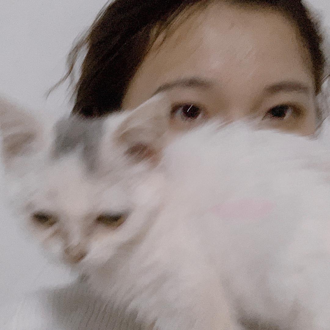 要做没有忧愁的小猫咪