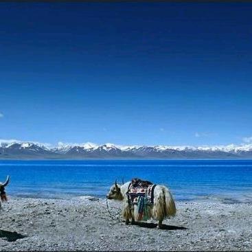 乘风破浪🐎