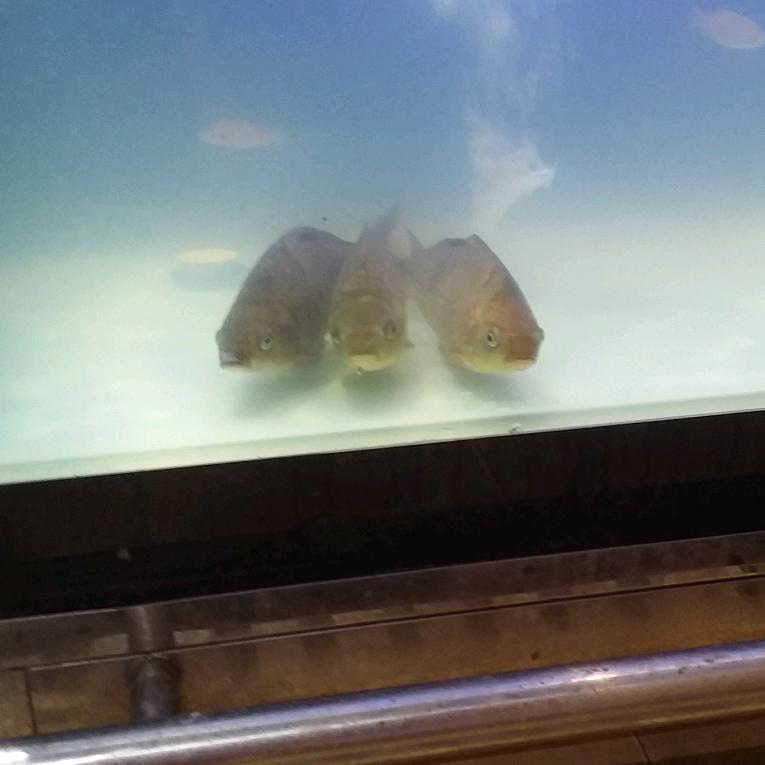 精彩人生！！！