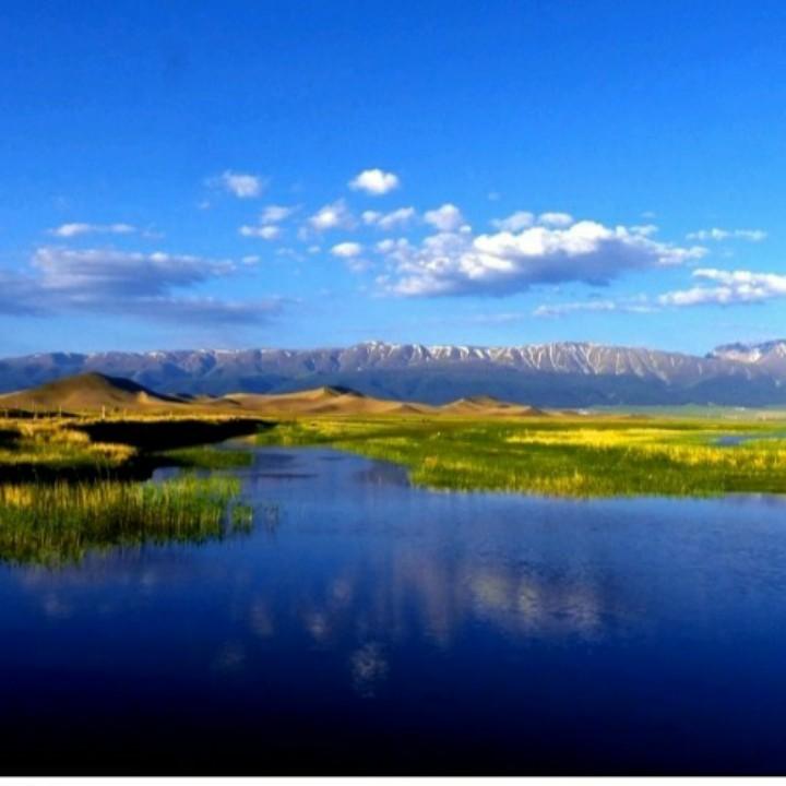 阿布都热合曼（焊工，，管道焊工，铁艺师，