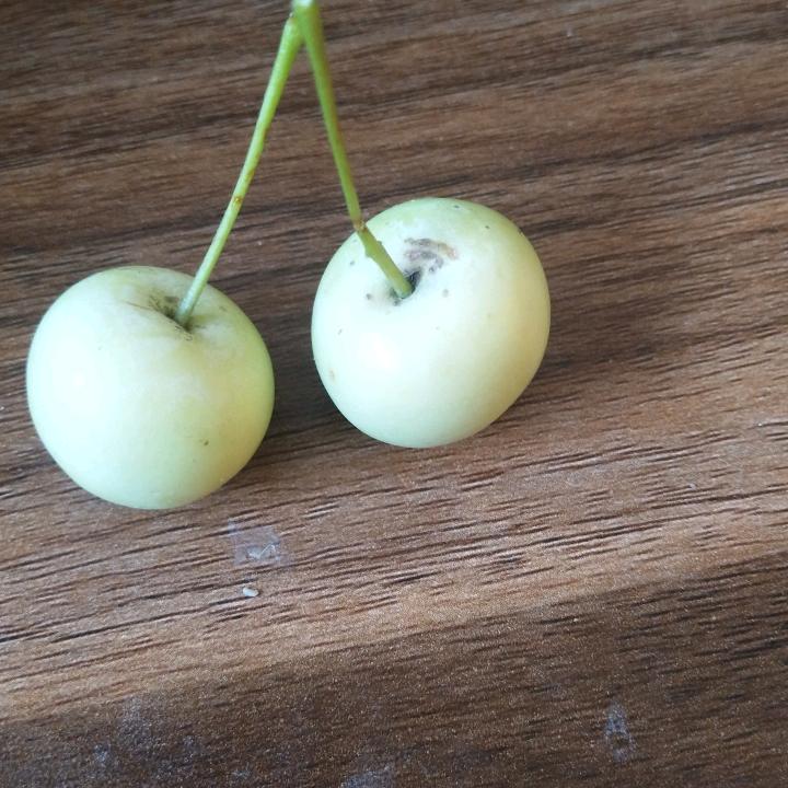 刘晶晶淘依阁品牌女装折扣店
