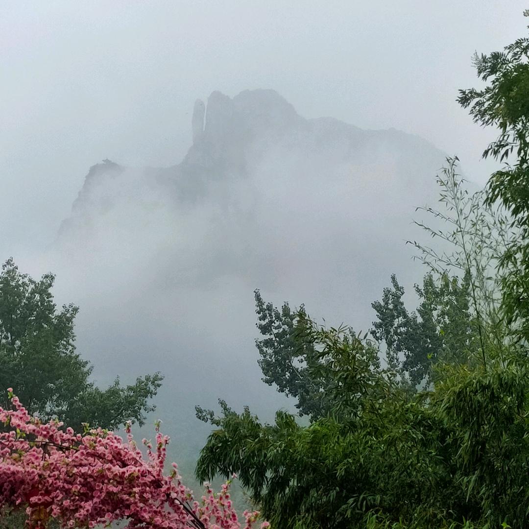 狼