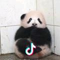 起名费劲