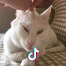 脚皮紫菜蛋花汤