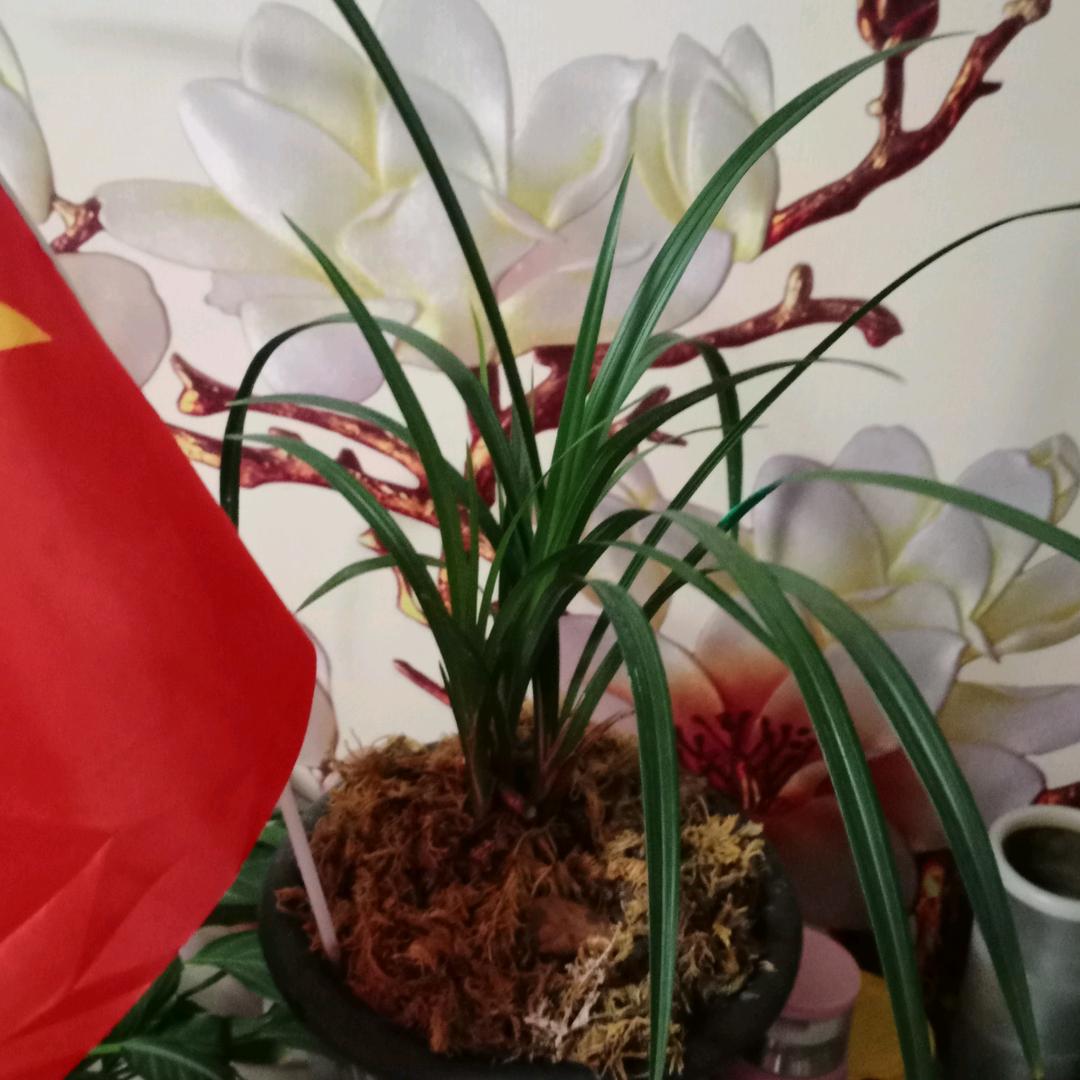 风情海607