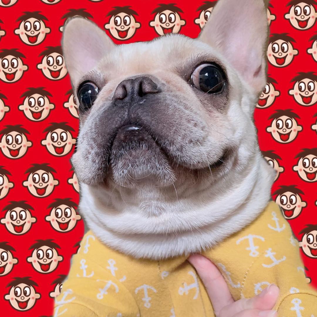 再来一碗🥣（养成版）