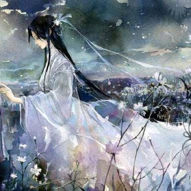 小茶酱（省服甄姬）